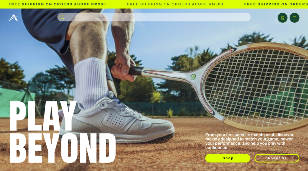 ecommerce website